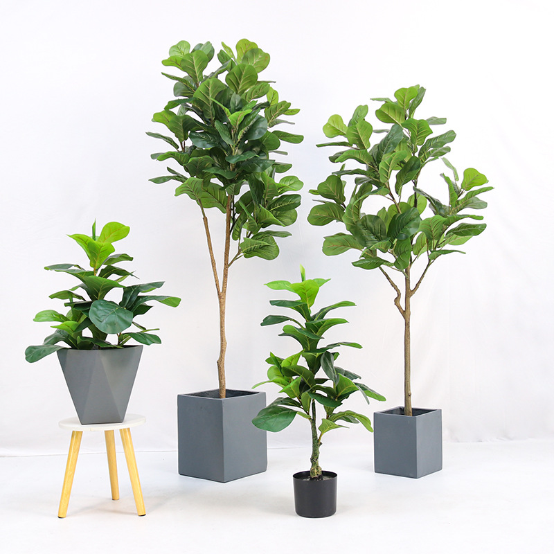 Fiddle Leaf Fig - Tanaman Pot Plastik Buatan, Jenis Ficus