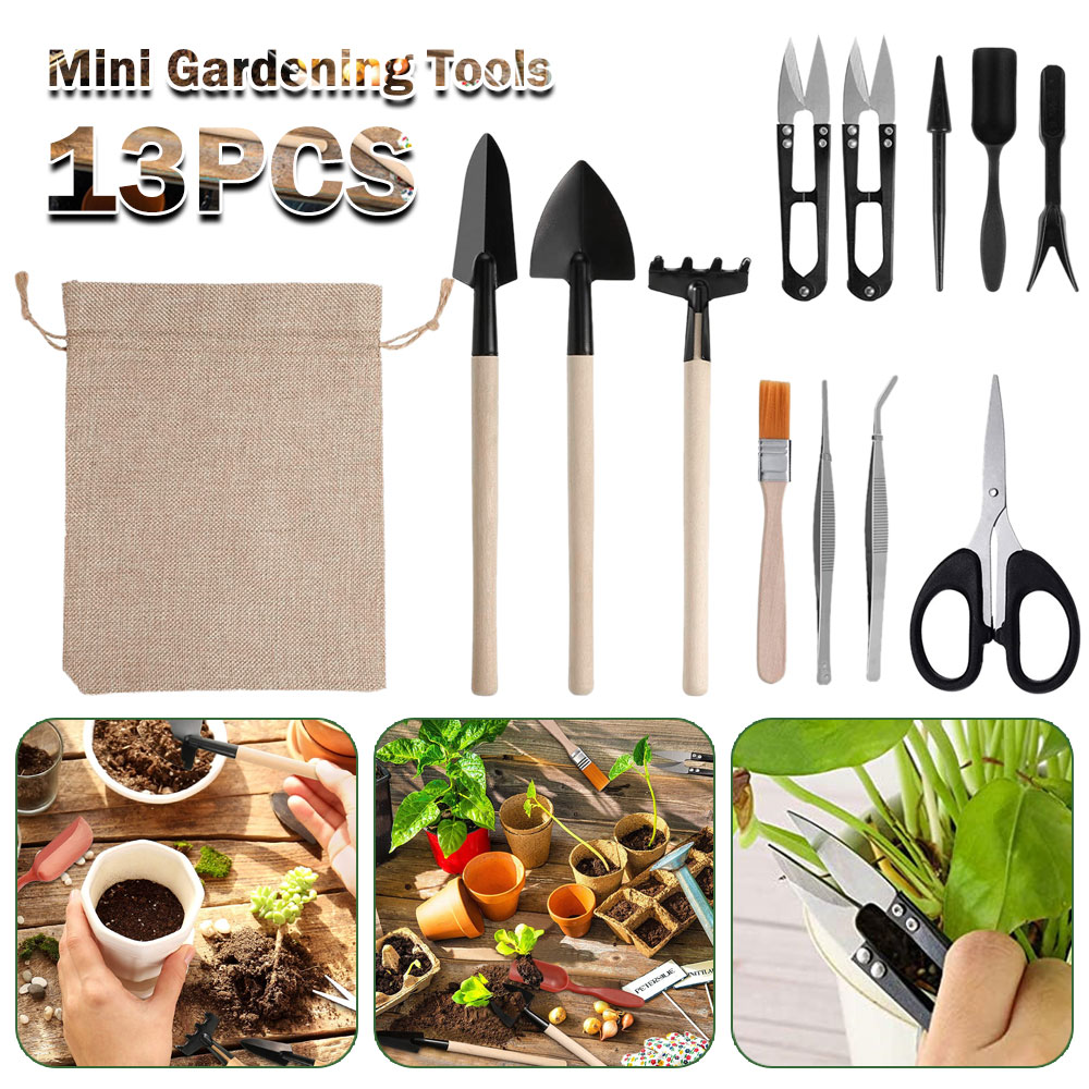 Succulent Set - Alat Tanaman Sukulen Alat Tangan Kebun