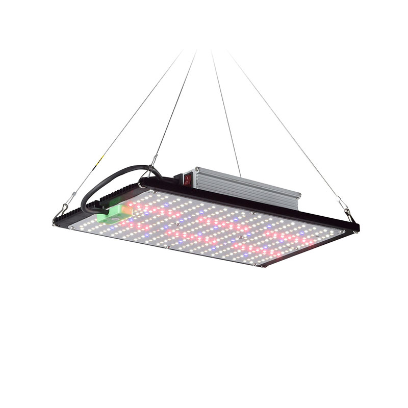 Lampu LED Quantum-Board untuk  - Indoor Plants ulasan dan harga