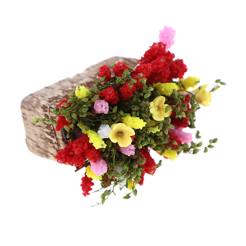 1 buah miniatur Mini Bonsai Fl - Terracotta Pot ulasan dan harga