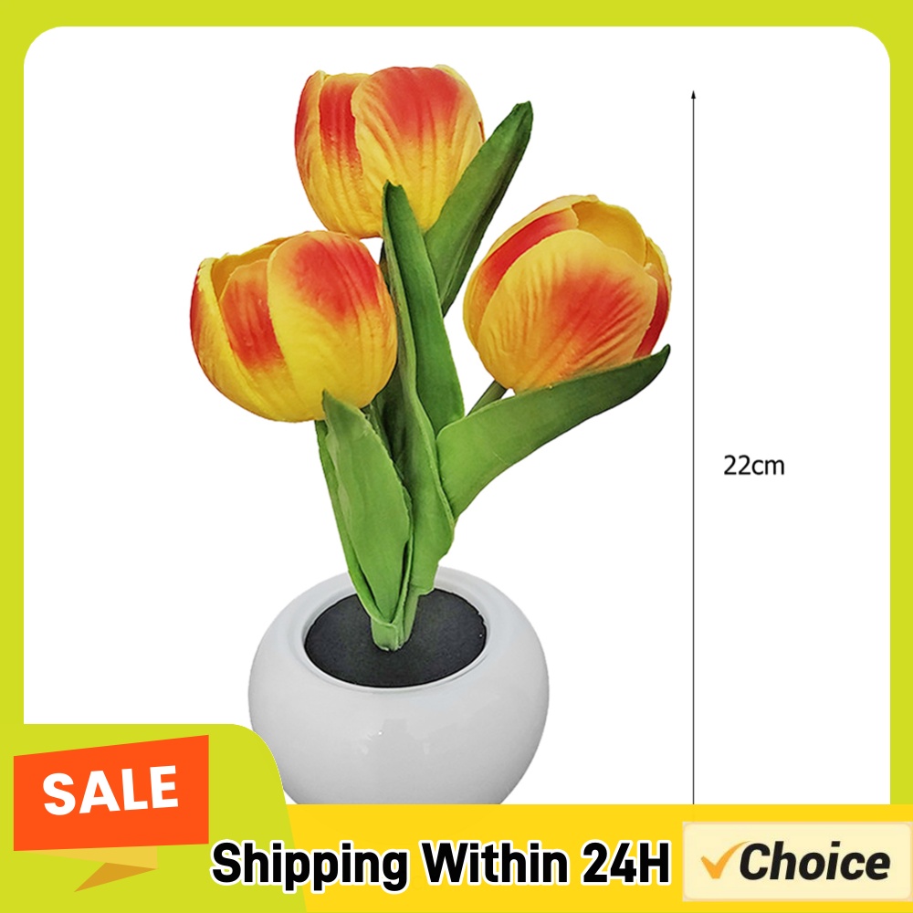 Lampu Meja Tanaman Pot 9x22cm, - Plant Pot ulasan dan harga
