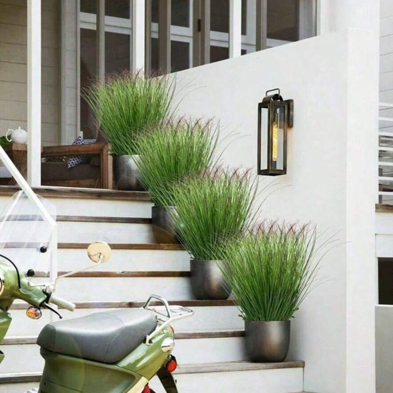 12 Buah Tanaman Hijau Palsu Ru - Snake Plant ulasan dan harga