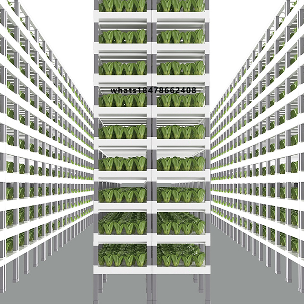 Sistem Hidroponik Cerdas Terko - Indoor Plants ulasan dan harga