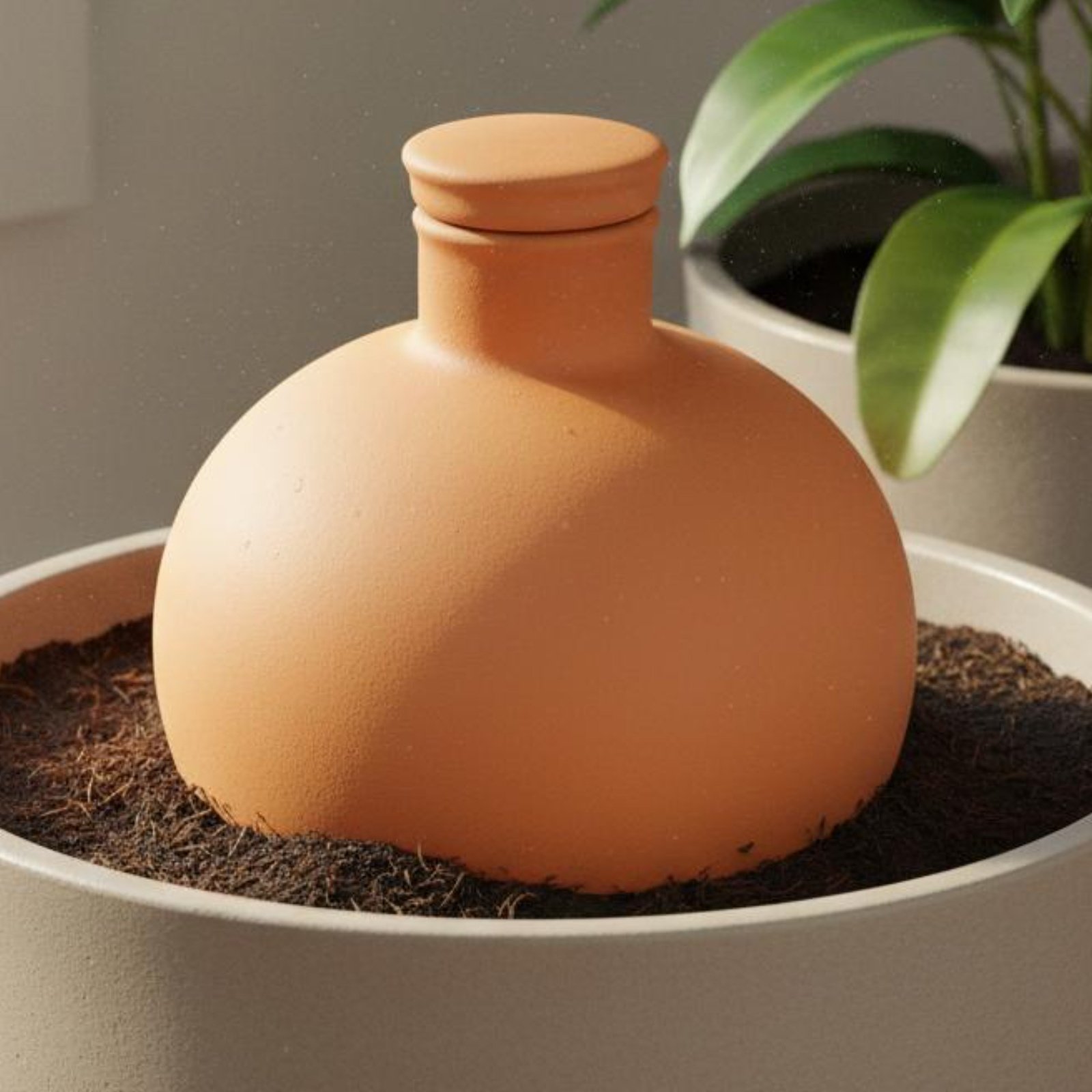 2 Buah Pot Tanam Terakota Olla - Terracotta Pot ulasan dan harga