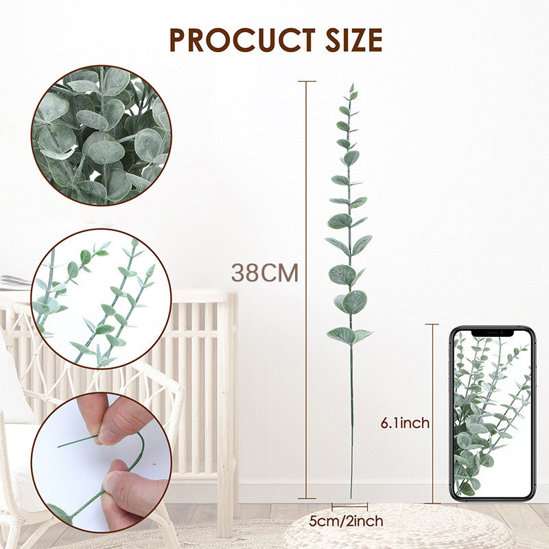 20 buah batang kayu putih buat - Fiddle Leaf Fig ulasan dan harga