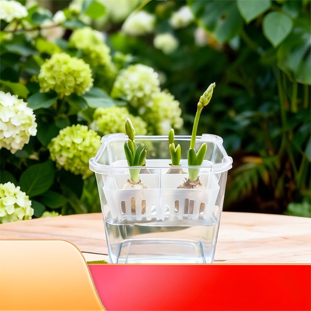 Vas Hidroponik untuk Bunga Tul - Indoor Plants ulasan dan harga