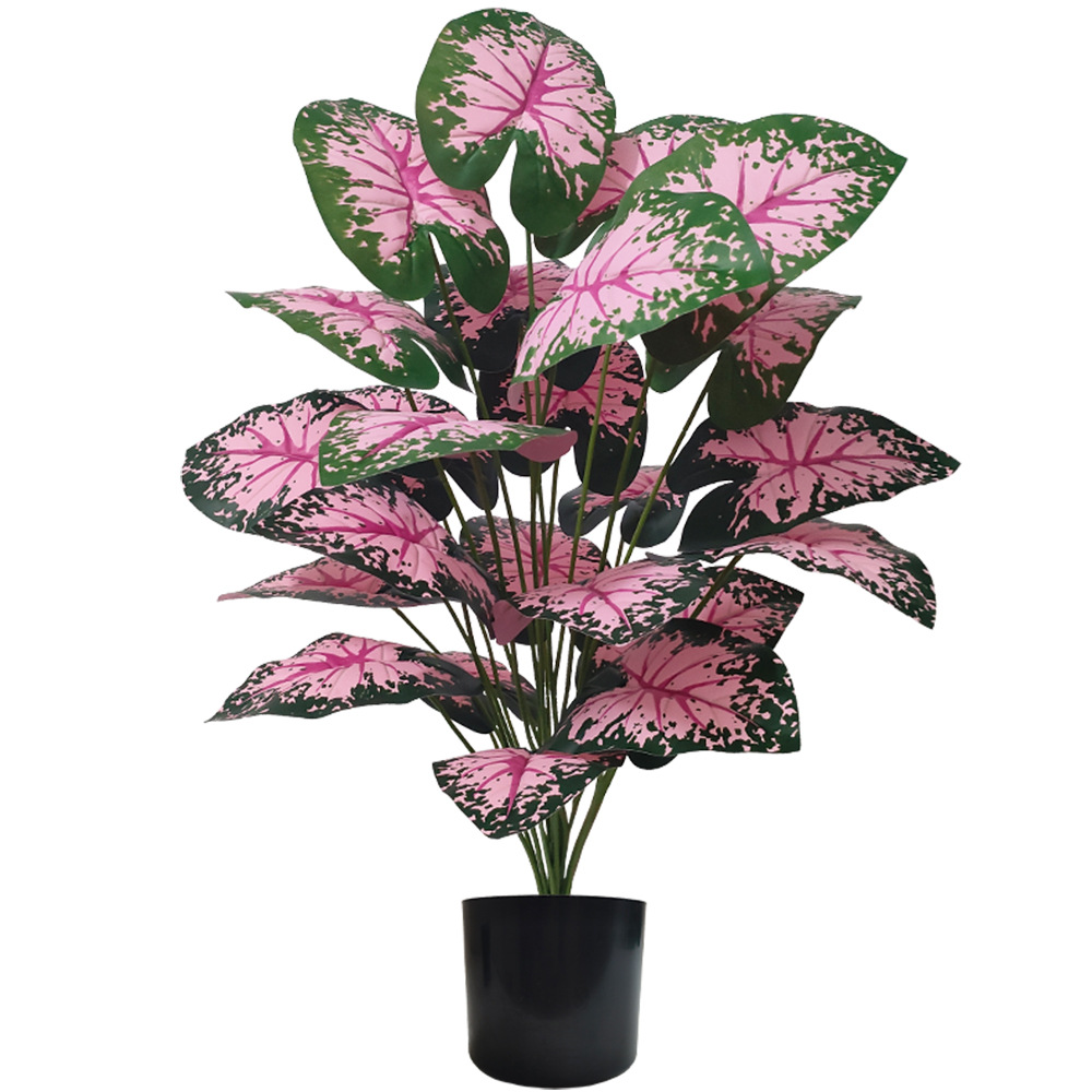 Tanaman pot bunga buatan daun  - Snake Plant ulasan dan harga
