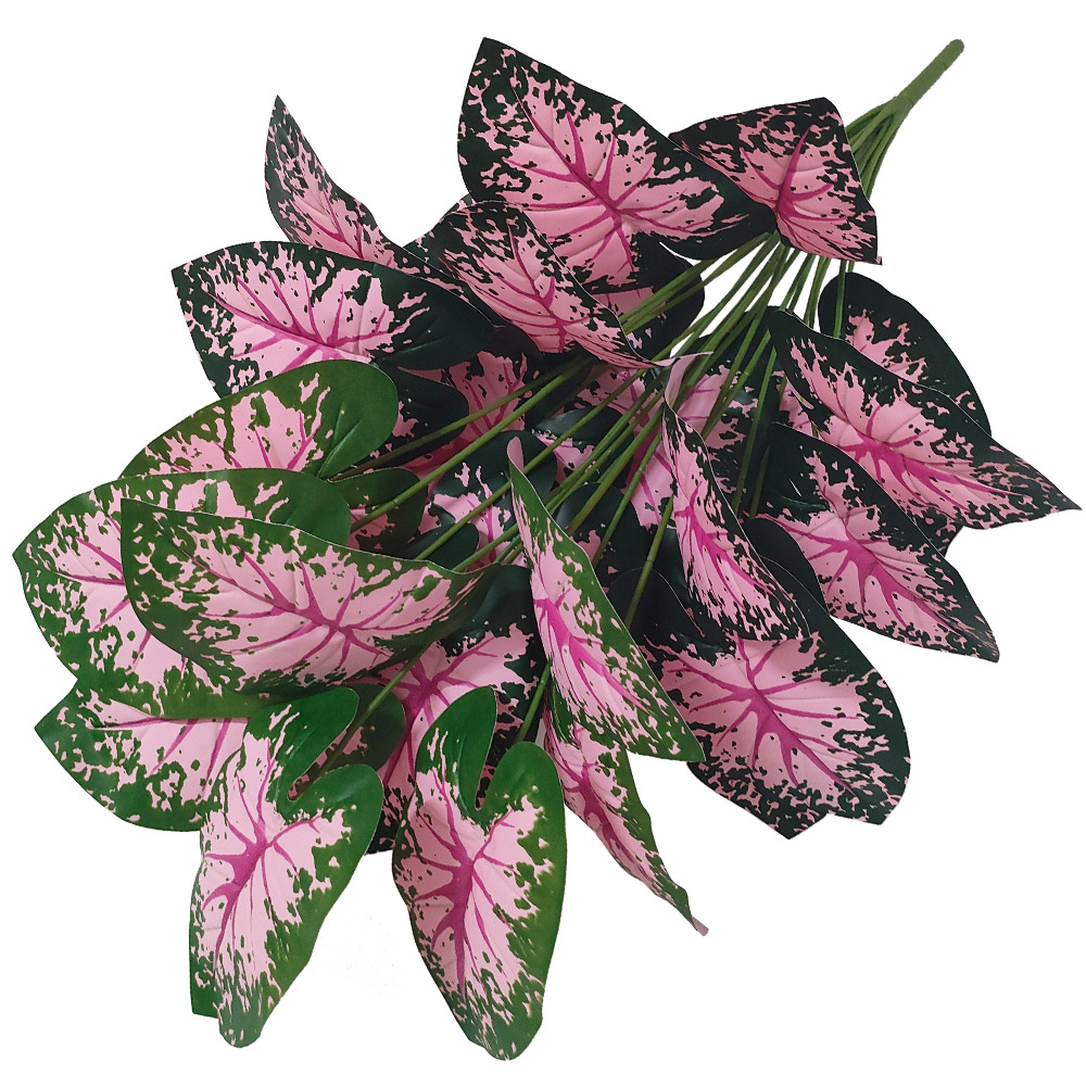 Tanaman pot bunga buatan daun  - Snake Plant ulasan dan harga