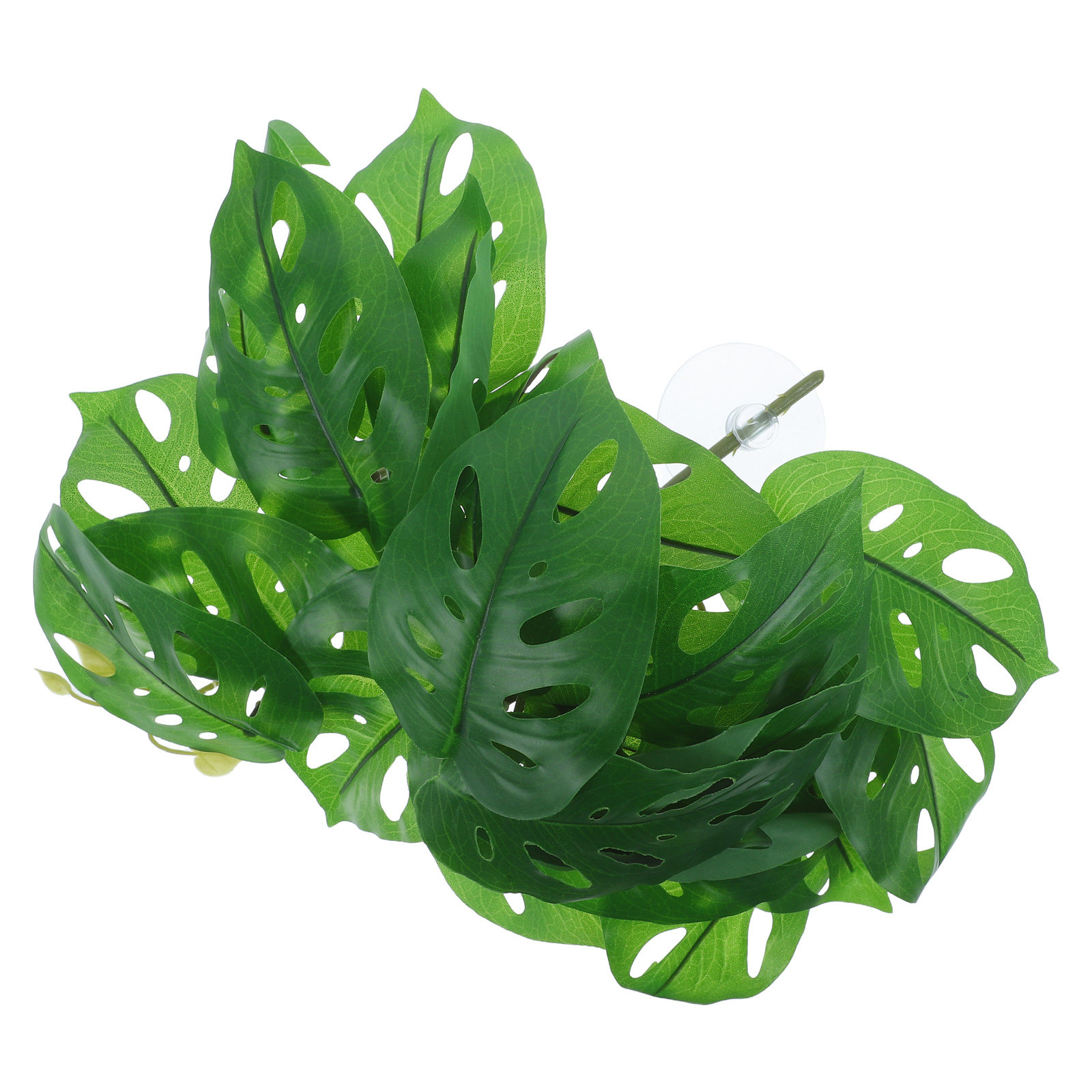 Dekorasi Habitat Reptil, Tanam - Snake Plant ulasan dan harga