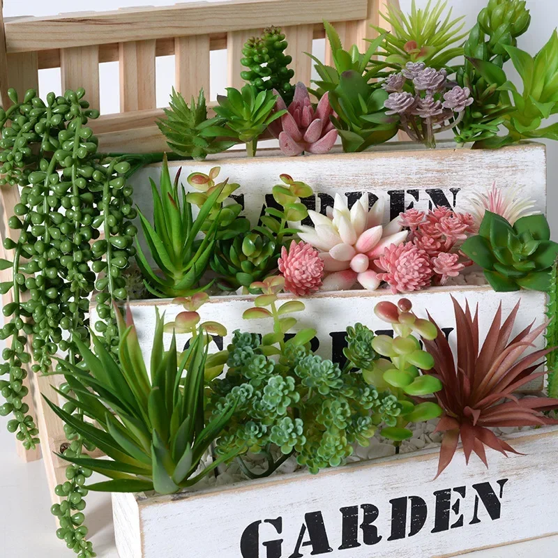 10/20 Buah Tanaman Sukulen PVC - Snake Plant ulasan dan harga
